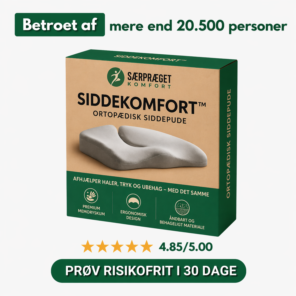 ZitComfort™ | Comfortabele steun voor rug en onderrug